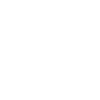 Disability insurance icon in white