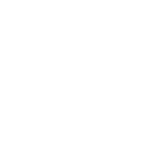 Levy logo in white