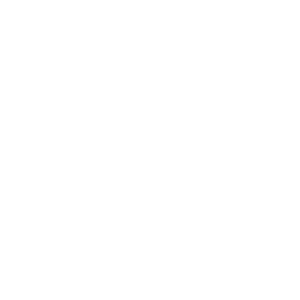 flik logo in white