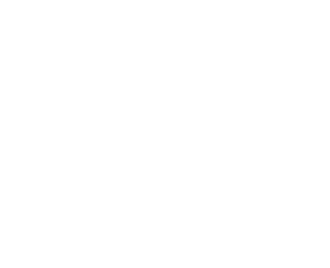 twitter logo in white